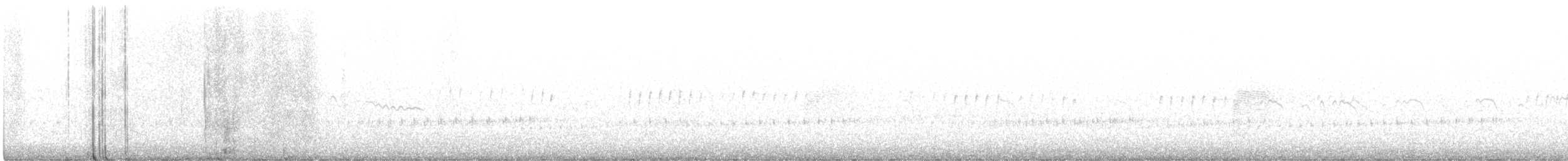 Oilagor amerikarra - ML206974791