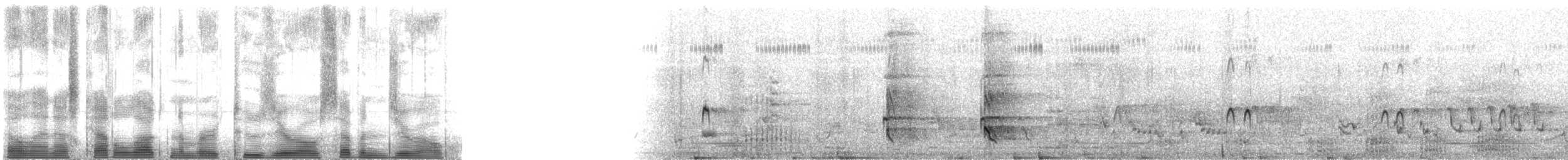 綠簑鷺(atricapilla群) - ML2070