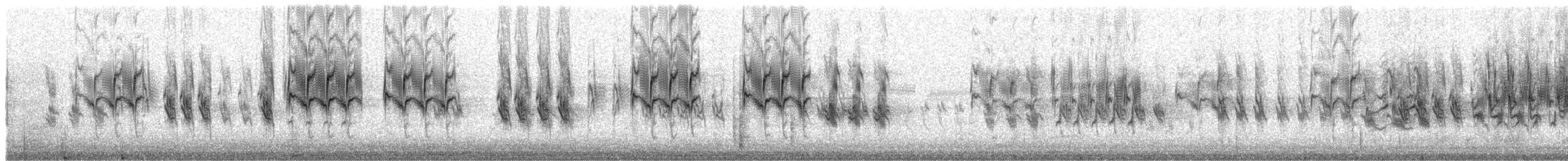 Redpoll (Hoary) - ML207109
