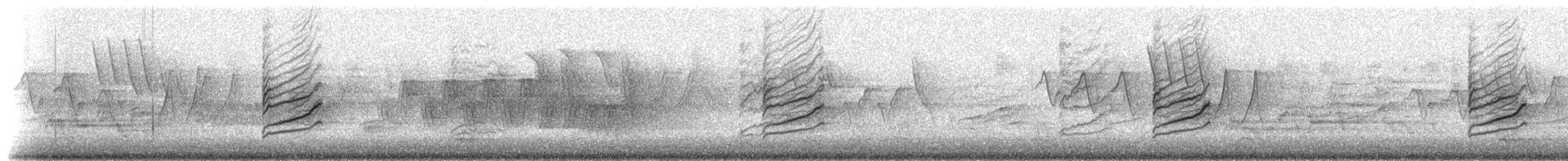 sizerin sp. - ML207151