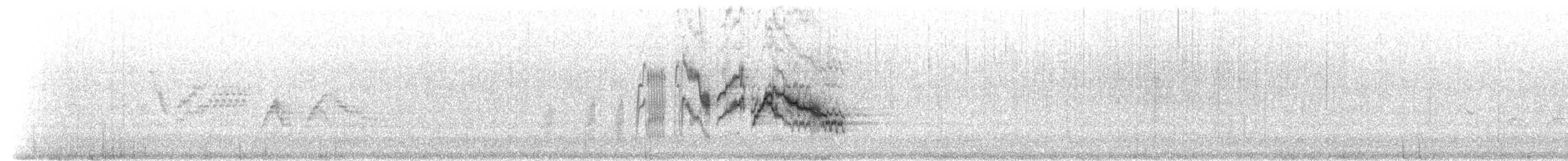 Gray-cheeked Thrush - ML207165