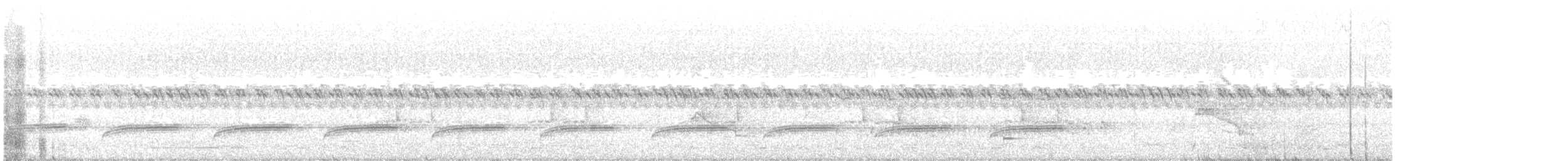 Échenilleur cigale (groupe tenuirostre) - ML207231441
