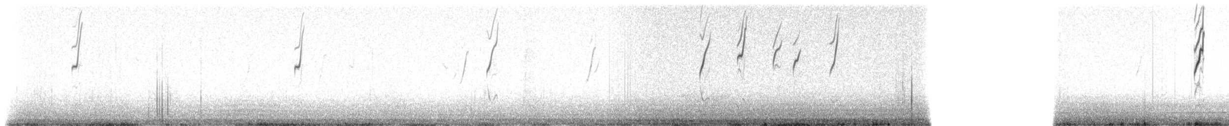 Белокрылая диука - ML207254