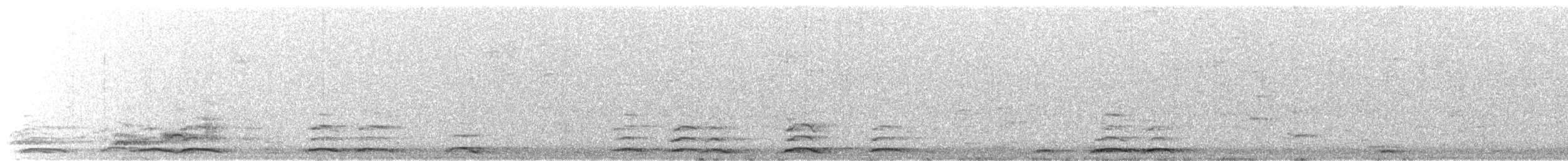 Cygne siffleur (columbianus) - ML207301571