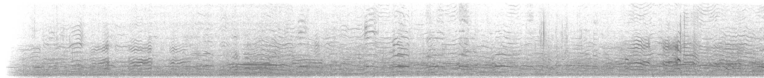 Antxeta hankabeltza (tridactyla) - ML207314