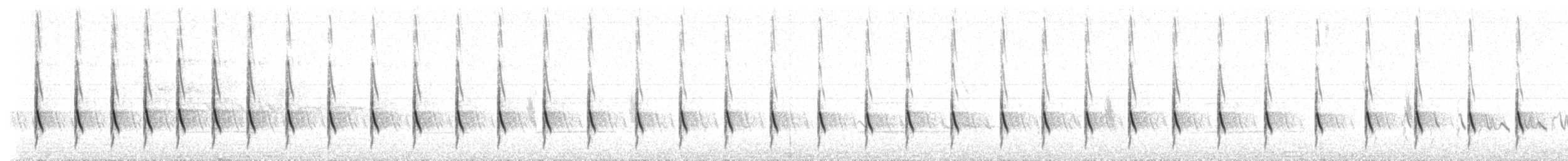 Wood Sandpiper - ML207325
