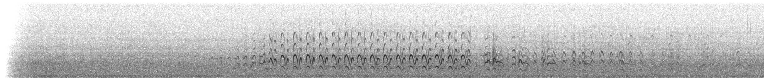 Pfuhlschnepfe (lapponica-Gruppe) - ML207342