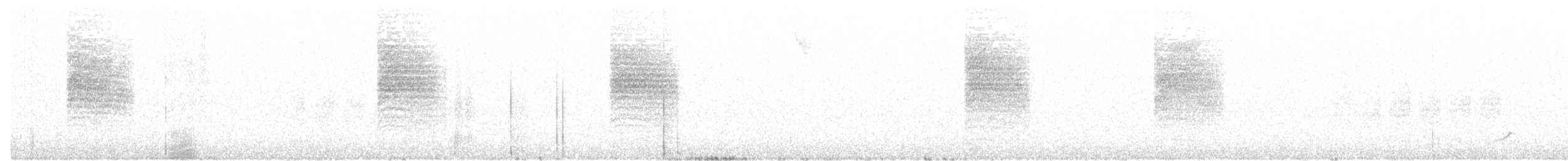 Black-tailed Gnatcatcher - ML207365421