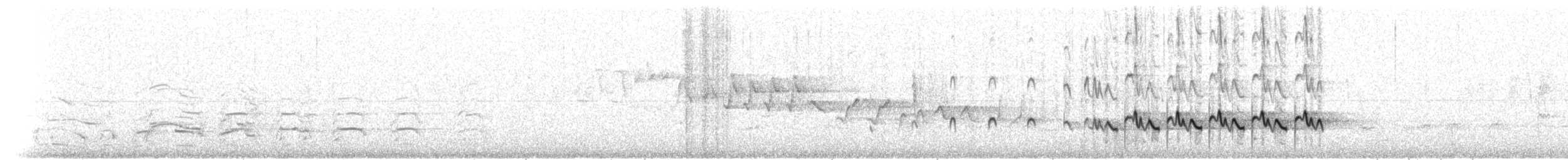 Wood Sandpiper - ML207376