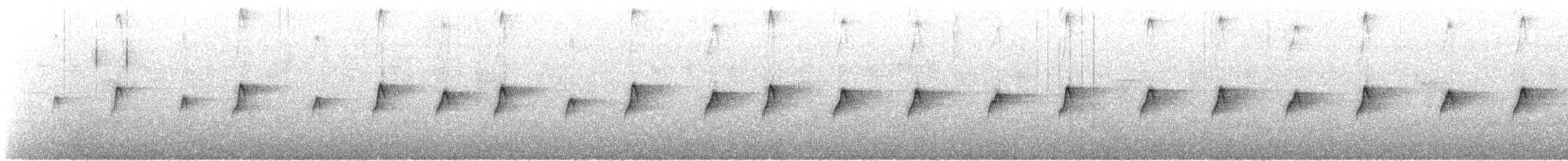 pavoučník bělavohrdlý - ML207398731