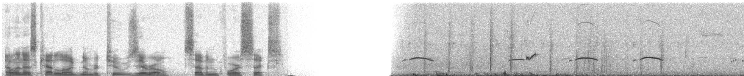 Greater Pewee - ML20746