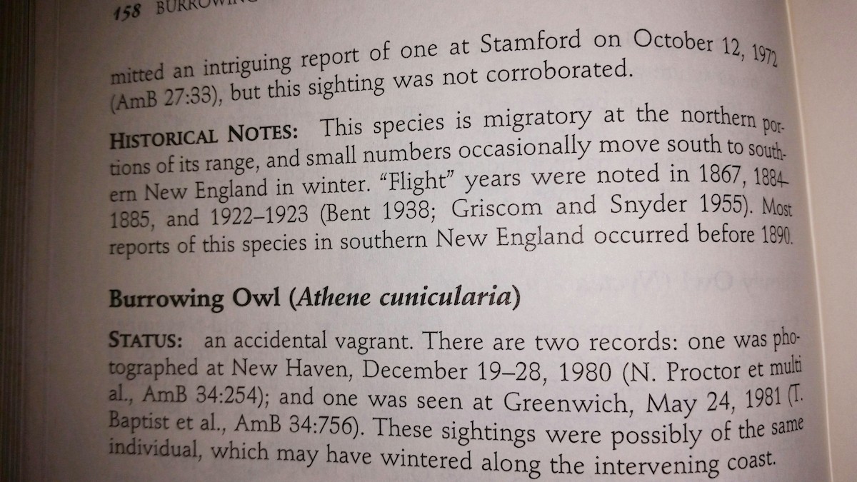 Northern Hawk Owl - ML20746601