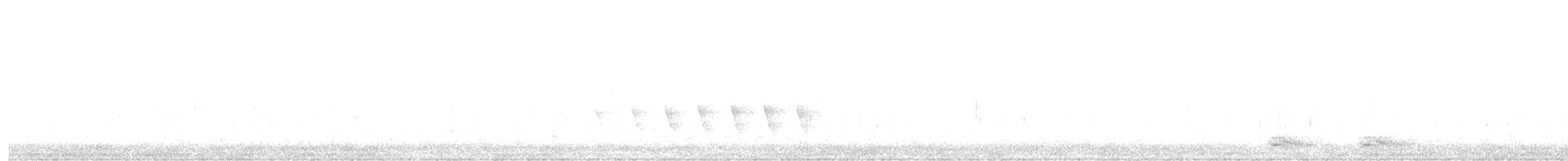 Northern Cardinal - ML207466421