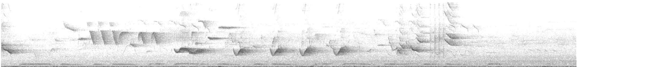 יונת ענק (קבוצה לבנת-צוואר) - ML207480021