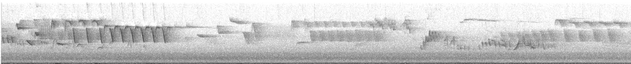 střízlík obecný (ssp. indigenus) - ML207480211