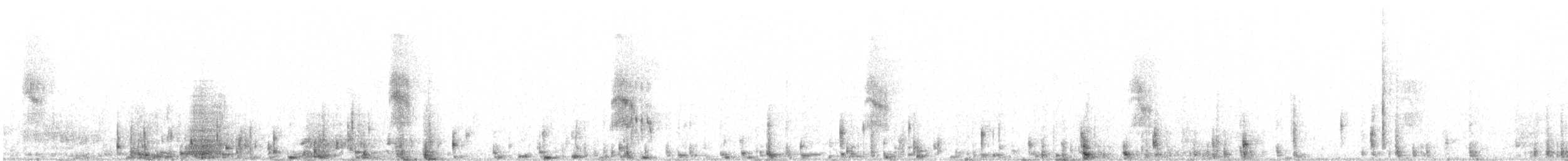 Weißbart-Seeschwalbe - ML207581181