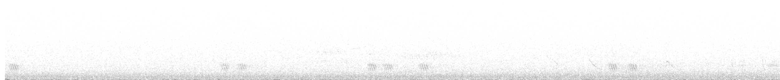 Büyük Mor Kırlangıç (subis/arboricola) - ML207585061