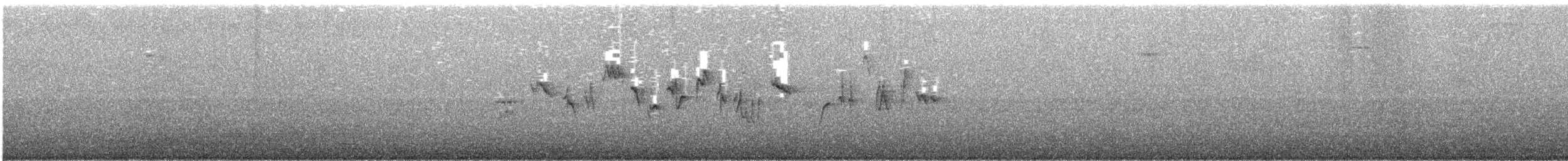 Eurasian Wren - ML207599401