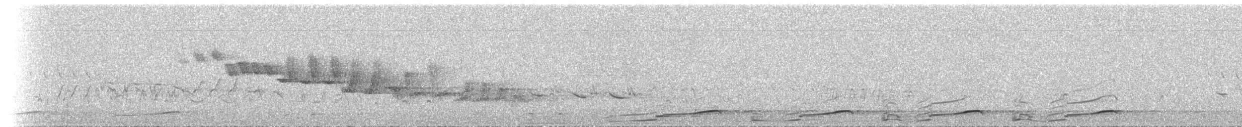 Plongeon arctique - ML207617