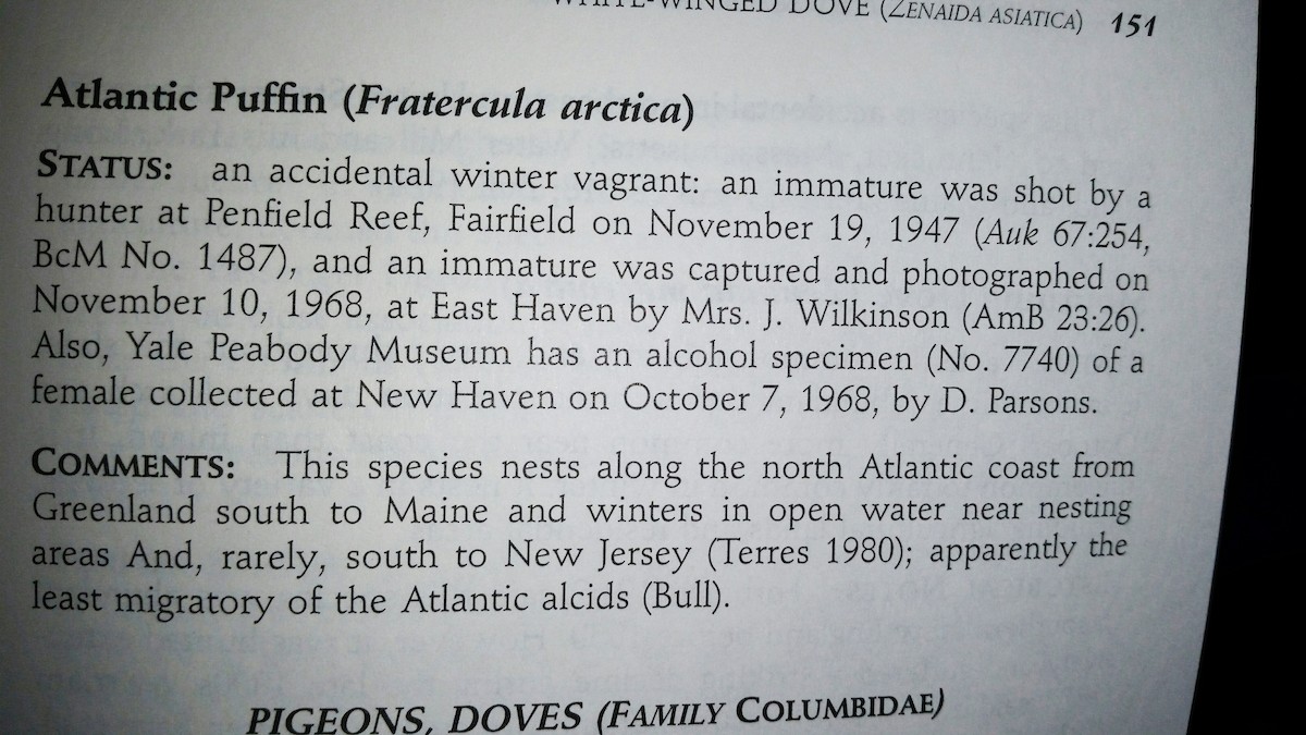 Atlantic Puffin - ML20763301