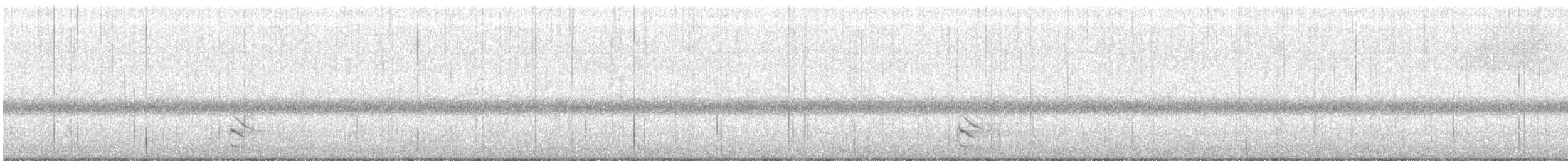 Australian Owlet-nightjar - ML207634311