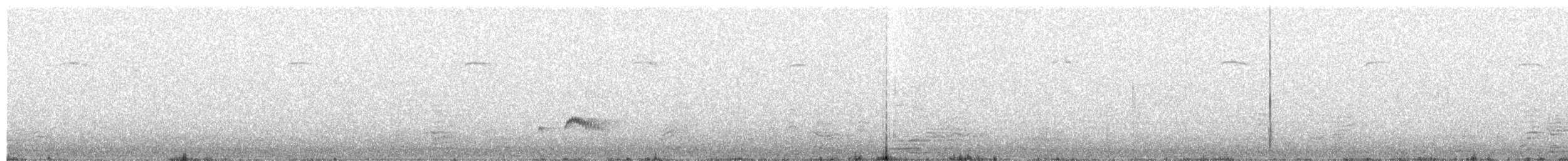 Ash-throated Flycatcher - ML207694391