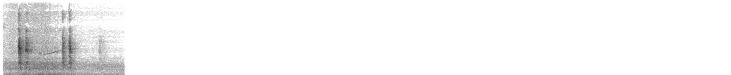 østpivi - ML207715851