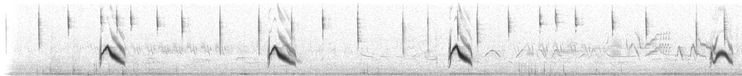 Gray-cheeked Thrush - ML207755