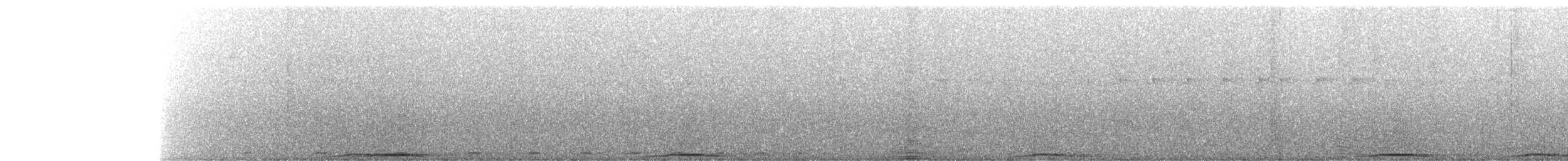 holub černobradý - ML207885681