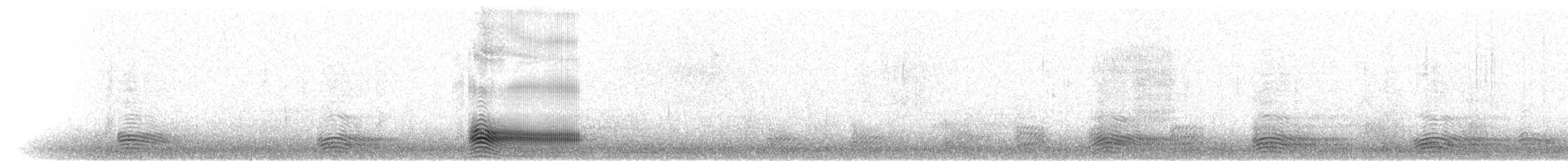 Cuervo Picudo (grupo macrorhynchos) - ML207910181
