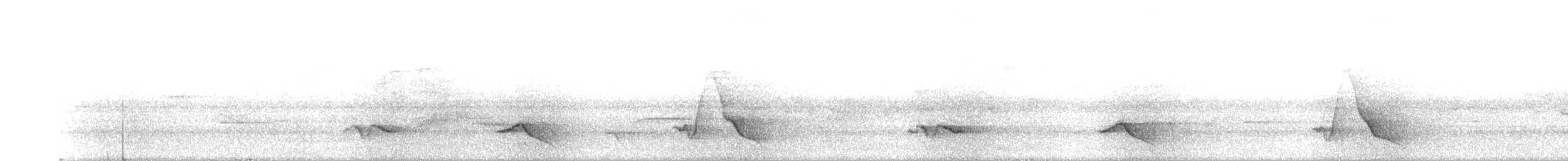 Black-faced Monarch - ML208111881
