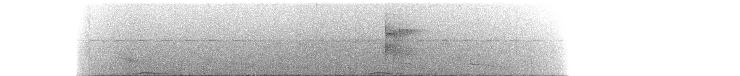 holub černobradý - ML208124551