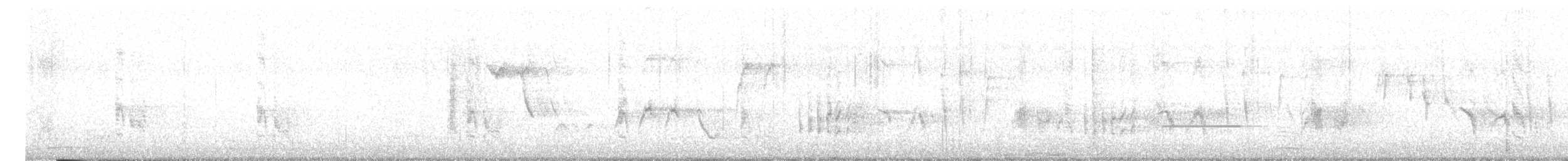 Long-tailed Shrike - ML208150541