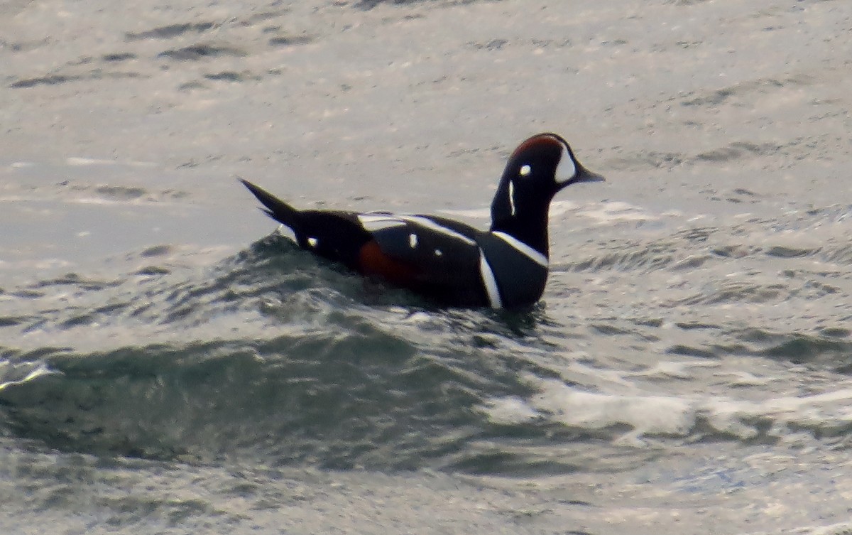 Хотгуужин чөрх - ML20816001