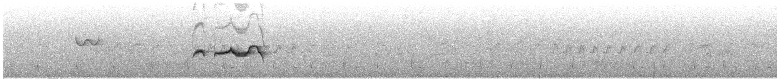 Strichelrücken-Ameisenfänger - ML208179571