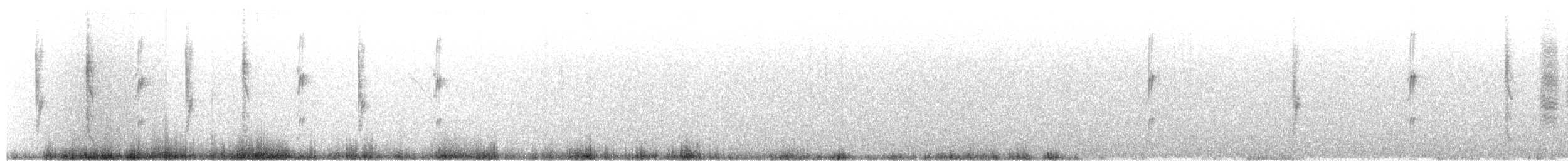 Сияющий колибри-капуцин - ML208180631