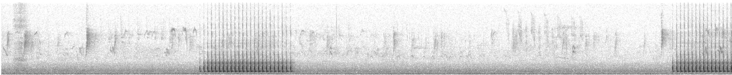 Nuttall's Woodpecker - ML208203421