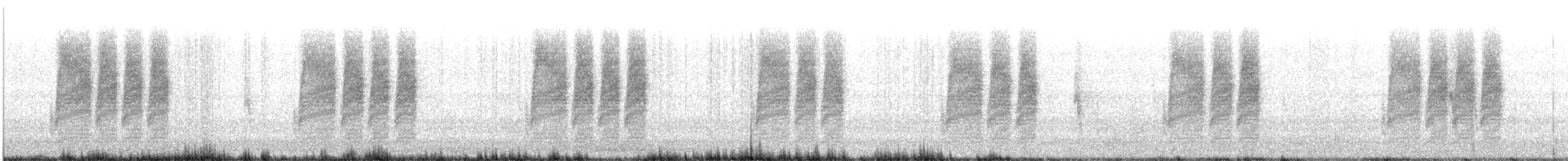 Troglodyte de Bewick - ML208235051