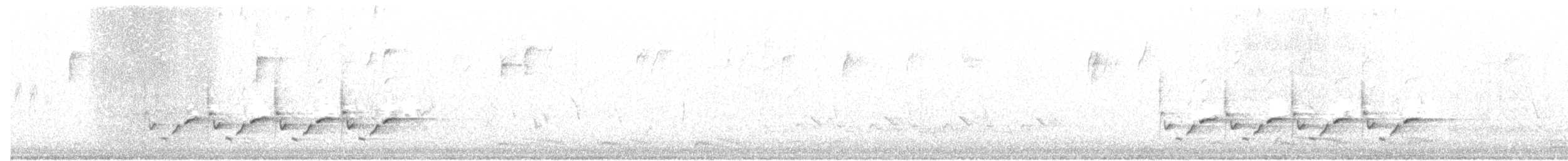 Carolina Wren - ML208410241