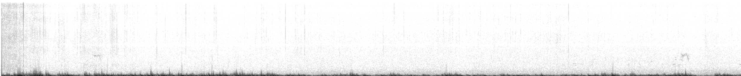 Meisenhäher (obscurus/griseus) - ML208567701