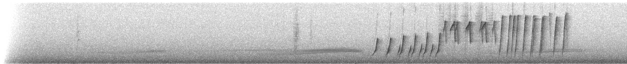 meisedaknis (petersi/bella) - ML208623