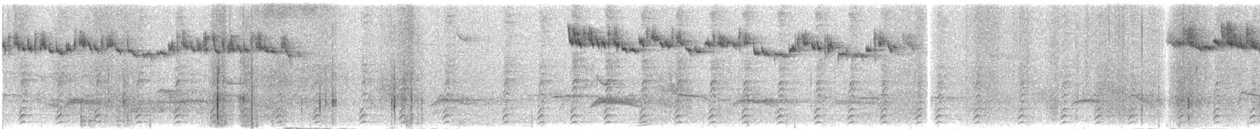 Black-throated Huet-huet - ML208663291