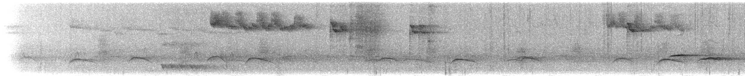 drozd falklandský - ML208668461