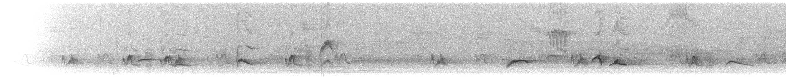 drozd falklandský - ML208668841