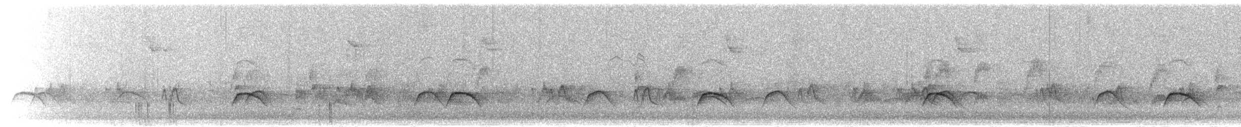 drozd falklandský - ML208669451