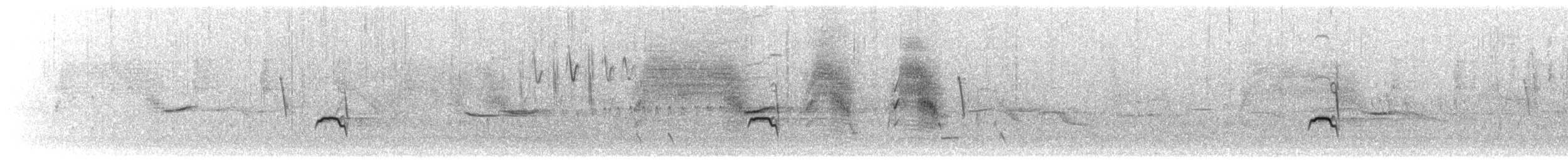 drozd jihoamerický - ML208677701