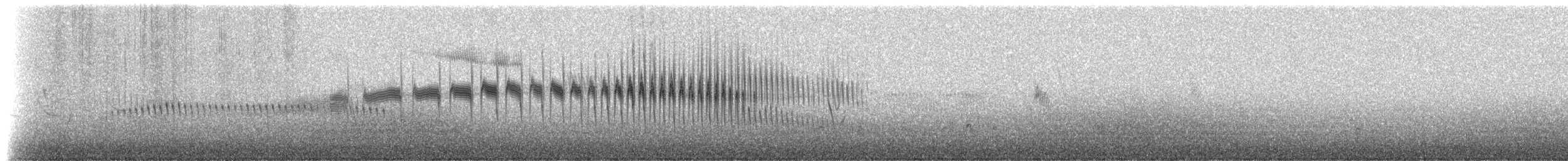 Streak-throated Canastero - ML208692