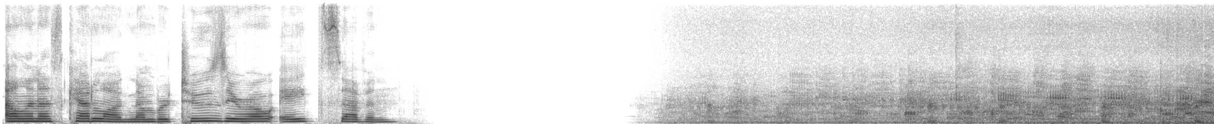 Kahnschnabelreiher [zeledoni-Gruppe] - ML2087