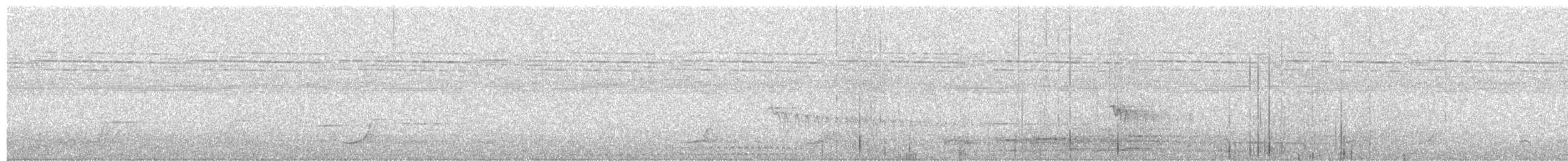 Pale-browed Tinamou - ML208707821