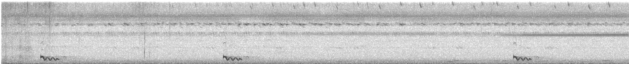 Chotacabras Marajá - ML208778571